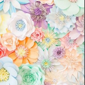 Meet your Posher, Corinna